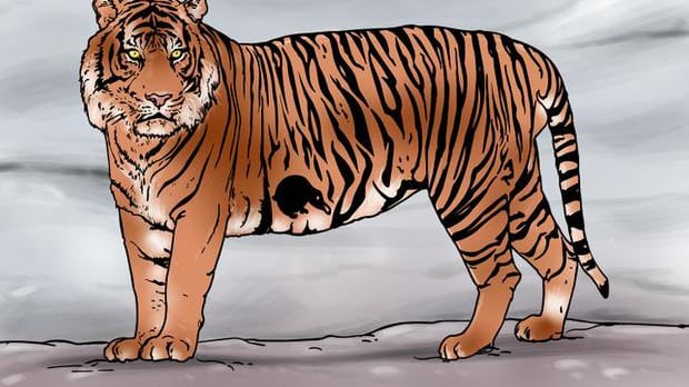 ¿En dónde está el pingüino?