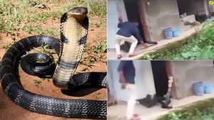 Vídeo que mostra rapidez de cobra mortal quase termina em ataque; ela tentou ficar na altura do homem
