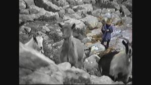 Sale a luz inédito video cuando Luka Modrić cuidaba cabras a los 5 años