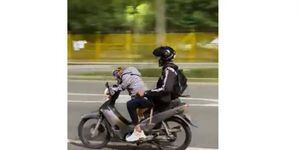 Un perro maneja una motocicleta y se vuelve viral; vea el insólito momento