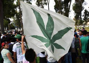 Perú escuchó la demanda ciudadana y aprobó el uso medicinal de la marihuana