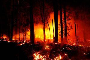 Impactantes imágenes del incendio de Australia
