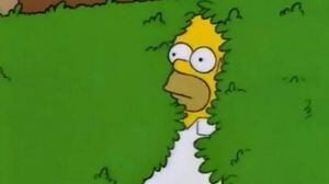 Adidas lanza unas zapatillas Stan Smith con el meme más famoso de Los Simpson: Homero en el arbusto