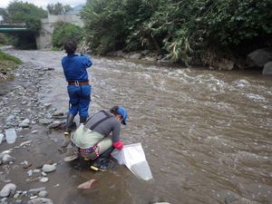 Estudio revela presencia de residuos de COVID-19 en los ríos Machángara y Monjas en Quito