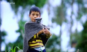 ¡Todo el país lloró! Esta es la presentación de David en La voz kids que conmovió a más de uno