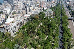 Plan ambiental por Línea 7: Metro de Santiago propone trasladar árboles, mover a las lagartijas y atención sicológica