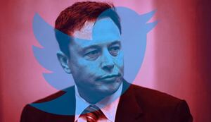Elon Musk despide a empleado de Twitter tras demostrar que el algoritmo no estaba mal y el problema era el CEO