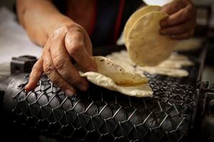 ‘Tortillazo' aumentaría precio hasta 17 pesos por kilo