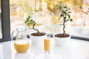 Jugo de toronja y jengibre para reducir la celulitis