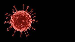 Tratamiento para la osteoporosis podría curar el coronavirus, según supercomputadora