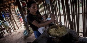 Icefi señala que la desnutrición es la peor vergüenza para Guatemala