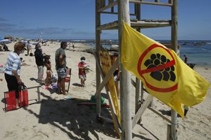 Una bandera amarilla señalizará que las playas tienen el aforo completo y no se puede ingresar en Valparaíso