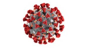 Coronavirus combinado con influenza: alertan que contraer ambas enfermedades es el real peligro cuando arribe a Chile