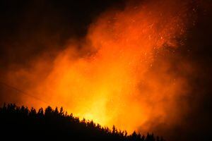 El sur al límite: los bosques se visten de fuego, ¿por culpa de los pirómanos e incendiarios?