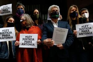 "Justicia para Antonia": el proyecto de ley que pretende mejorar el combate de delitos sexuales