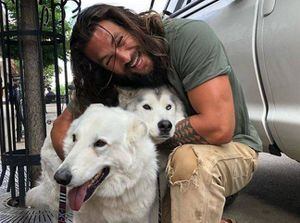Jason Momoa se coló en las fotos de unos recién casados en Hawái y los fanáticos no superan lo que hizo con el tridente