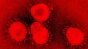 Coronavirus en Ecuador: 37 355 casos confirmados y 3 203 fallecidos