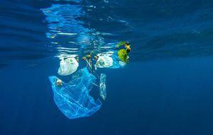 En 2050 los océanos tendrán más plástico que peces y Chile está dando el ejemplo al mundo con ley contra las bolsas en el comercio