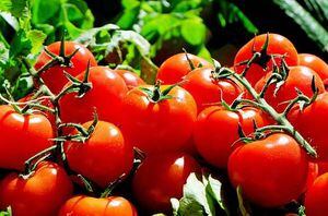 Reduce la hipertensión y el colesterol con zumo de tomate sin sal