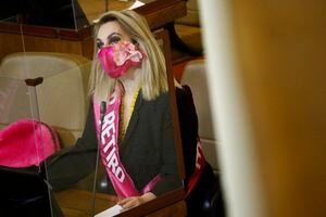 Pamela Jiles asegura que Presidente Piñera no irá al TC para detener aprobación de la Ley del tercer retiro del 10% de los fondos de pensión