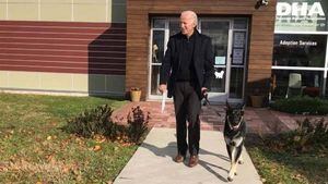 Luego de mordida, regresan los perros de Joe Biden a la Casa Blanca