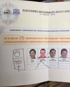 Elecciones 2019: Gokú, Shrek y Don Alfonso marcaron las tendencias en las elecciones