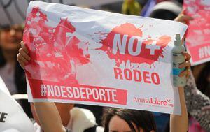 #NoEsDeporte: quinta marcha nacional contra el rodeo reunió 5 mil personas en Santiago y llegó a otras 13 ciudades de Chile