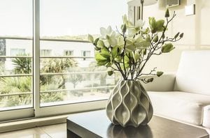 Los mejores sitios para colocar plantas en casa y que atraigan las energías positivas