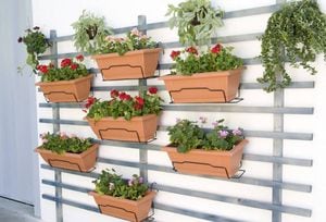 Ideas sencillas y económicas para crear un jardín vertical y ahorrar espacio