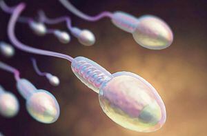 El Covid-19 puede alterar el ADN de los espermatozoides, dice nuevo estudio