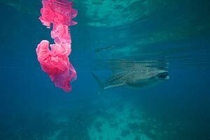 La monstruosa red que busca recoger los 1,8 trillones de pedazos de basura plástica que los humanos hemos lanzado al Océano Pacífico