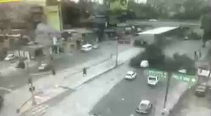 Caída de árbol en Ecatepec deja a una persona muerta