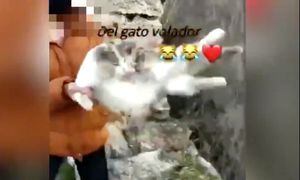Joven española lanzó un gato por barranco y luego baila canción 'El gato volador'