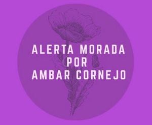Alerta morada: el caso de Ámbar y otras 25 mujeres asesinadas por violencia de género este año