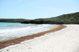 Directora de Turismo recomienda a la gobernadora reabrir las playas