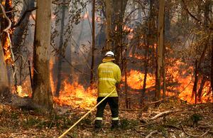 Incendio en Australia: cientos de viviendas afectadas y un millón de hectáreas quemadas